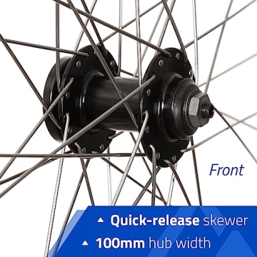 RCG, DW19-26, Wheel, Rear, 26'' / 559, Holes: 36, QR, 135mm, Rim and Disc is 6-Bolt, Freewheel