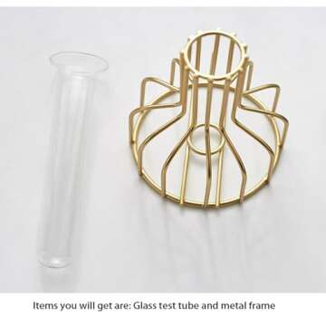 2 Pcs Gold Flower Vase with Metal Frame, Clear Glass Test Tube Vases Decorative, Small Bud Vases Gifts use for Wedding Decoration Table Flower Decoration Interior Decoration Living Room Decoration