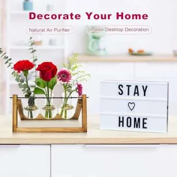 Elegant Plant Propagation Station for Mother’s Day Gifts