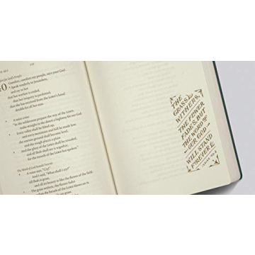 Discover the ESV Illuminated Scripture Journal Set