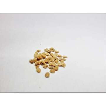 TOMATO, ITALIAN ROMA, HEIRLOOM, 25 SEEDS, DELICIOUS RED TASTY FRUIT,