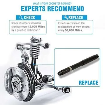 Maxorber Full Set Shocks Struts Absorber Kit Compatible with Ford Ranger RWD 1998-2009 Replacement for Mazda B2300 B3000 B4000 RWD 2001-2006,Mazda B2500 RWD 1998-2001 Shock Absorber 344397 344396