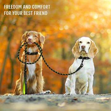 ACTIVE PETS Strong Dog Rope Leash with Soft Comfortable Padded Handle and Highly Reflective Threads, Dog Leash for Small Medium and Large Dogs, Puppy Leash for Training Running and Walking Green