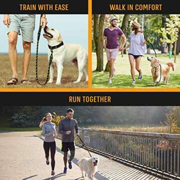 ACTIVE PETS Strong Dog Rope Leash with Soft Comfortable Padded Handle and Highly Reflective Threads, Dog Leash for Small Medium and Large Dogs, Puppy Leash for Training Running and Walking Green