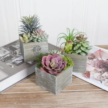 LED String Light Artificial Succulents for Home Decor