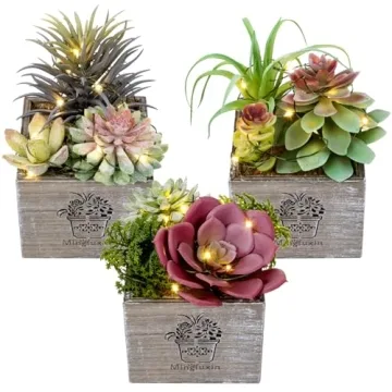 LED String Light Artificial Succulents for Home Decor