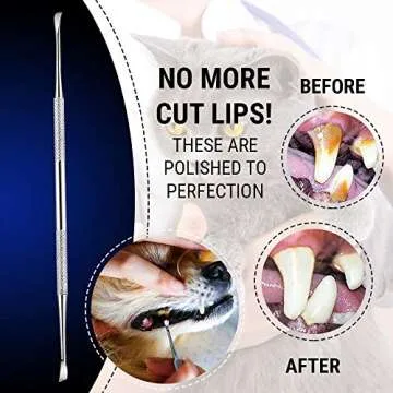 Pet Teeth Cleaning Tools – 6.5 Inch double header Tarter & Plaque remover tool for cats and dogs. ...