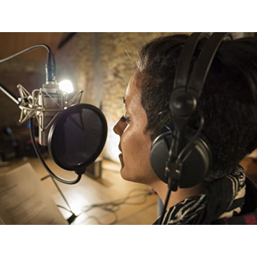 Neumann TLM 103 High-Quality Large-Diaphragm Mic