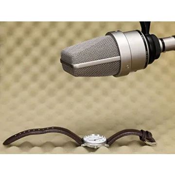 Neumann TLM 103 High-Quality Large-Diaphragm Mic