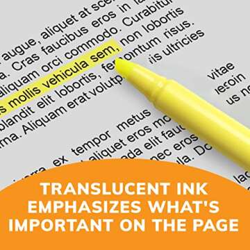 BIC Brite Liner Highlighters, Chisel Tip, 24-Count, Assorted Colors, Ideal Set for Organizing and Coloring, Packaging May Vary, Includes 14-Yellow, 3-Pink, 3-Orange, 2-Green and 2-Blue Highlighters