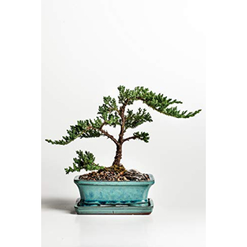 Granitic Gneiss Gravel for Aquariums & Landscaping