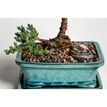 Granitic Gneiss Gravel for Aquariums & Landscaping