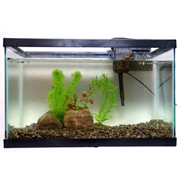 Granitic Gneiss Gravel for Aquariums & Landscaping