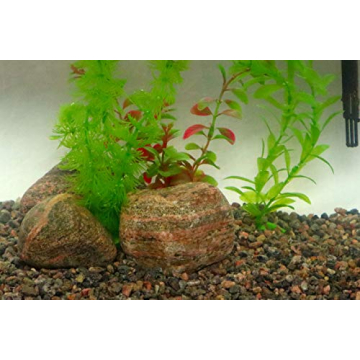 Granitic Gneiss Gravel for Aquariums & Landscaping