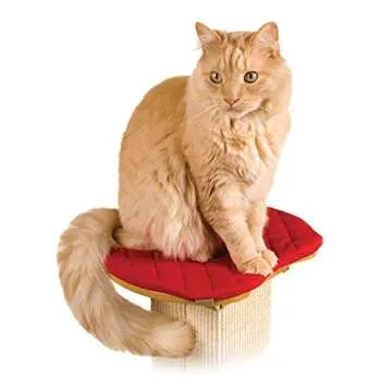 SmartCat Perch for Ultimate Scratching Post - Comfort & Security