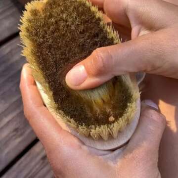 Ionic Copper Dry Brush