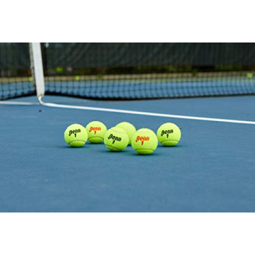 Penn Championship Regular Duty Tennis Balls for Every Player