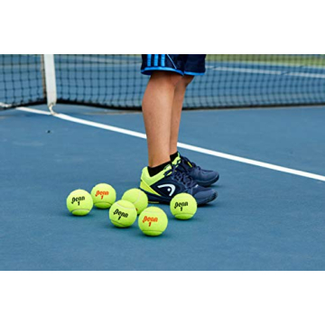 Penn Championship Regular Duty Tennis Balls for Every Player
