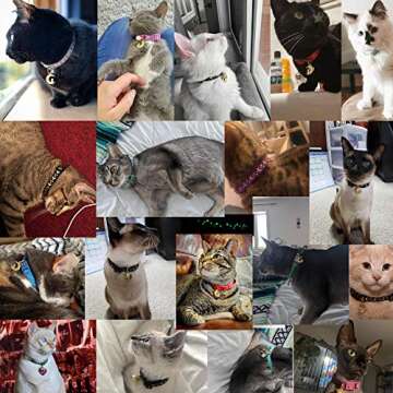 waaag Cat Collars, Gold Moons and Stars Cat Collar, Safety Breakaway Cat Collar, Glow in The Dark (Kitten 6.5"-10" Neck, Black)