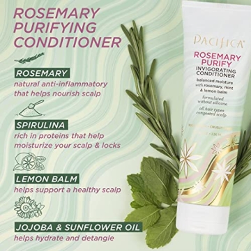 Pacifica Rosemary Purify Shampoo & Conditioner Set – 12oz & 8oz