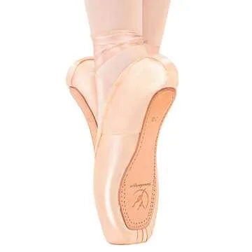 Tanzdunsje Professional Ballet Pointe Shoes in Pink
