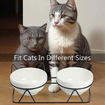 Elevated Tilted Cat Bowls for Indoor Cats，Raised Ceramic Cat Bowl Elevated 15°,Pet Feeding Bowls ...