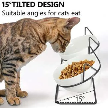 Elevated Tilted Cat Bowls for Indoor Cats，Raised Ceramic Cat Bowl Elevated 15°,Pet Feeding Bowls for Food and Water Anti Vomiting Bowl(Double Ceramics Bowls and Tilt Shelf) Suitable for All Cat Sizes