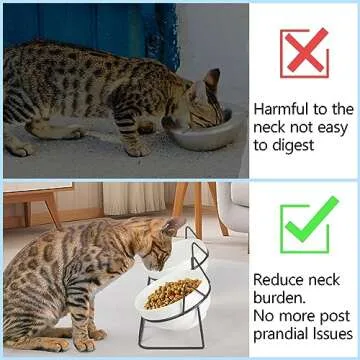 Elevated Tilted Cat Bowls for Indoor Cats，Raised Ceramic Cat Bowl Elevated 15°,Pet Feeding Bowls for Food and Water Anti Vomiting Bowl(Double Ceramics Bowls and Tilt Shelf) Suitable for All Cat Sizes