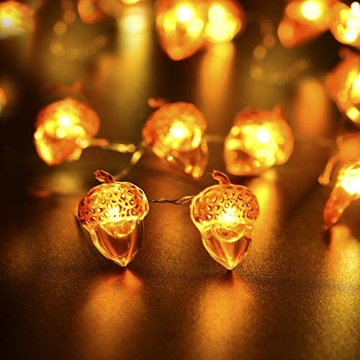 BOHON Acorn Lights 10ft LED String Lights for Fall Decor
