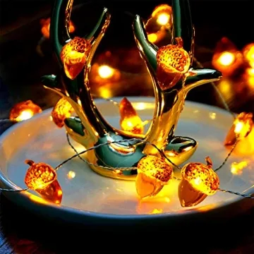 BOHON Acorn Lights 10ft LED String Lights for Fall Decor