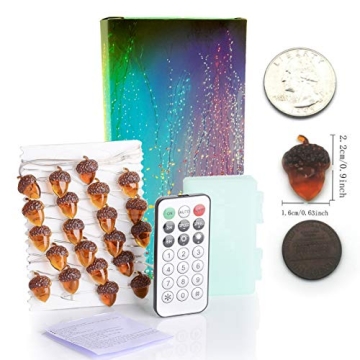 BOHON Acorn Lights 10ft LED String Lights for Fall Decor