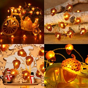BOHON Acorn Lights 10ft LED String Lights for Fall Decor