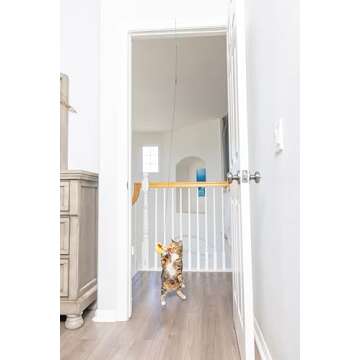 SPOT A-Door-Able Plush Bird Cat Toy | Rattle and Catnip Cat Toy Provides Hours of Entertainment for Your Cat | Hangs on Any Size Door Frame