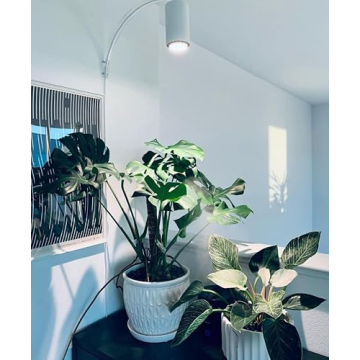 Elegant LED Grow Light for Indoor Plants | Aspect