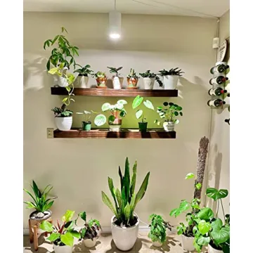 Elegant LED Grow Light for Indoor Plants | Aspect