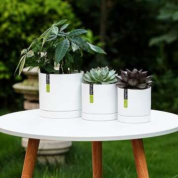 Ksalltol Plant Pots Indoor 5.7/4.6/4 Inch, Quartzite Pots for Planting with Drainage Holes, White…