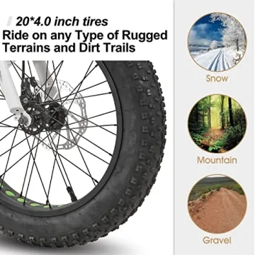 HH HILAND 20" Kids Fat Tire Mountain Bike 7-Speed Dual-Disc Brake