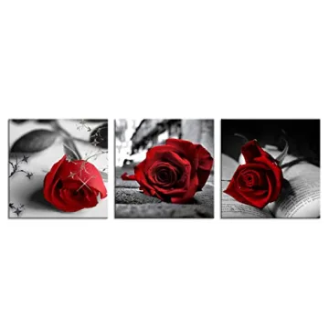 NAN Wind Red Rose Canvas Art for Stylish Home Decor