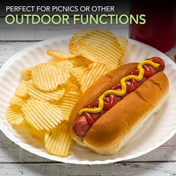 Stock Your Home Bulk Uncoated 9-Inch Paper Plates - 200 Count