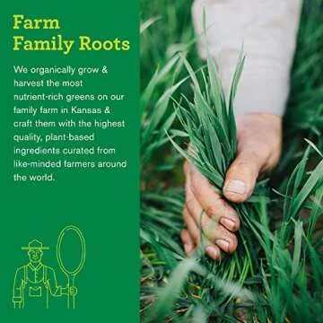 Amazing Grass Superfood Powder for Daily Wellness Boost