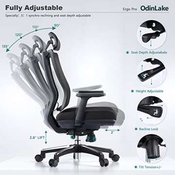 OdinLake Ergonomic Mesh - Seat Depth Adjustable Home Office Desk Chairs High Back with Lumbar Support - Computer Swivel Task Chair with Footrest, Headrest, PU Wheels (Model: Ergo Pro 633)