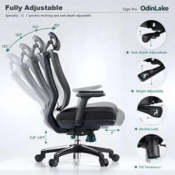 OdinLake Ergonomic Mesh - Seat Depth Adjustable Home Office Desk Chairs High Back with Lumbar Support - Computer Swivel Task Chair with Footrest, Headrest, PU Wheels (Model: Ergo Pro 633)