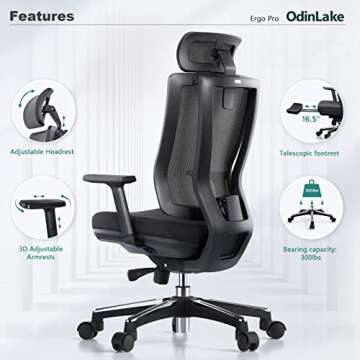 OdinLake Ergonomic Mesh - Seat Depth Adjustable Home Office Desk Chairs High Back with Lumbar Support - Computer Swivel Task Chair with Footrest, Headrest, PU Wheels (Model: Ergo Pro 633)