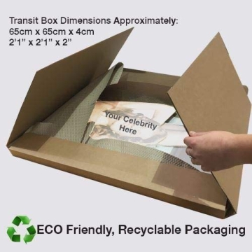 Lifesize Pitbull Cutout Perfect for Celebrations