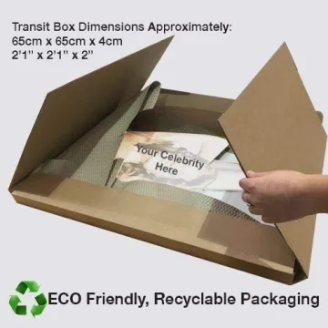 Lifesize Pitbull Cutout Perfect for Celebrations