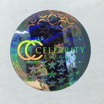 Lifesize Pitbull Cutout Perfect for Celebrations