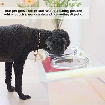 Kamang Holographic Pet Glass Bowl Feeder for Stylish Pets