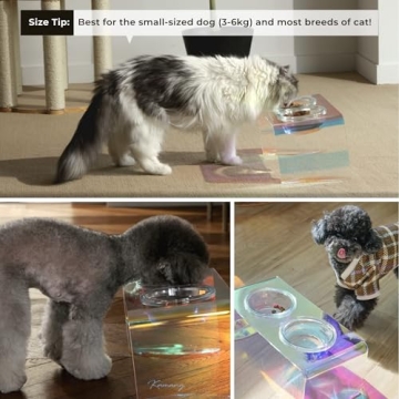 Kamang Holographic Pet Glass Bowl Feeder for Stylish Pets