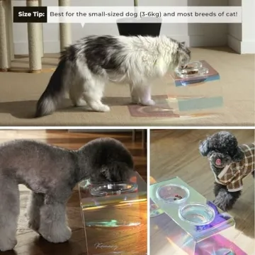 Kamang Holographic Pet Glass Bowl Feeder for Stylish Pets