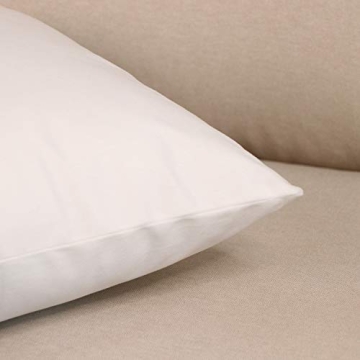 Elegant Decorative Pillow Covers for Couch and Bed 18 x 18